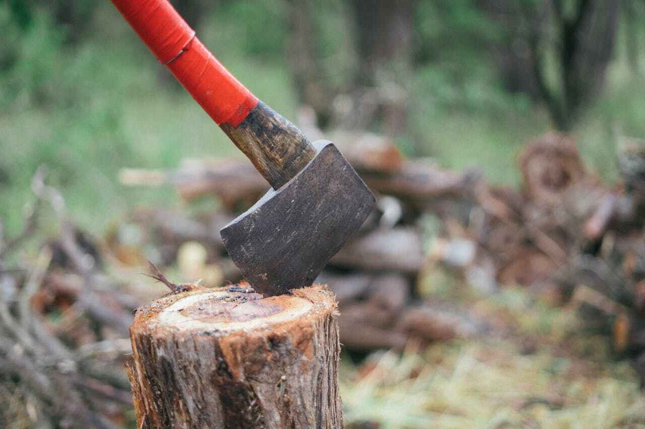 Residential Tree Removal in Loganville, PA